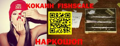 2c-b Камышлов