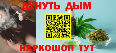 прущие грибы Кандалакша